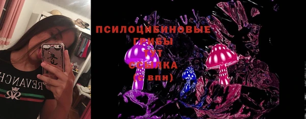 мескалин Арсеньев
