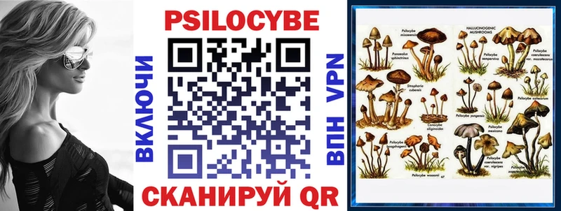 Псилоцибиновые грибы прущие грибы  магазин  наркотиков  Асбест 